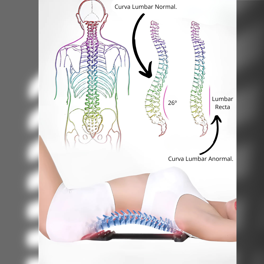 Soporte de Espalda con Tracción Y Terapia.